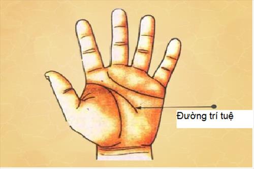 Bao giờ lấy chồng, xem bói chỉ tay là biết ngay