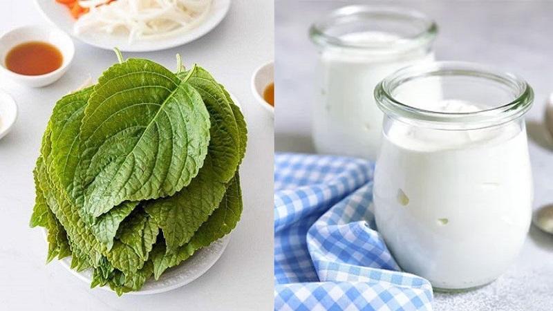 Cách Làm đẹp Da Bằng Lá Tía Tô