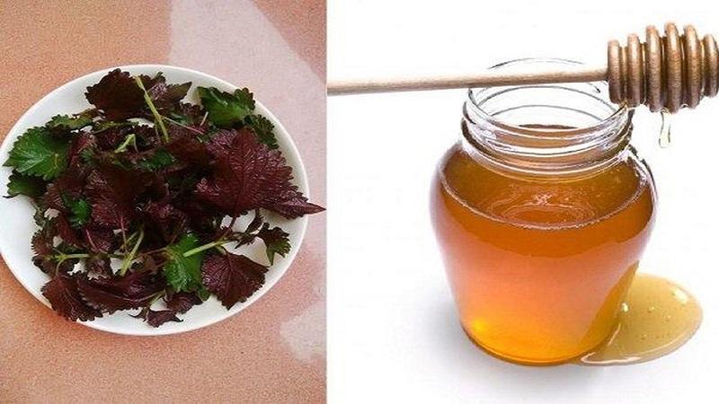 Lá tía tô và mật ong giúp dưỡng ẩm và mịn da