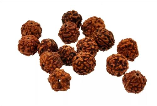 hạt Kim cang bồ đề