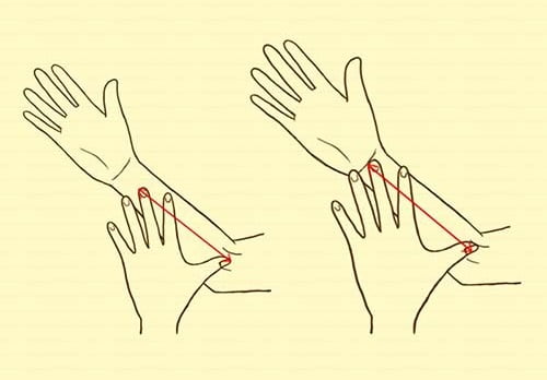 Hình dạng và độ dài ngắn của bàn tay hé lộ tâm tính hình ảnh gốc Hinh dang va do dai ngan cua ban tay he lo tam tinh hinh anh goc