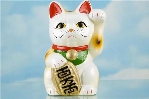 mèo thần tài