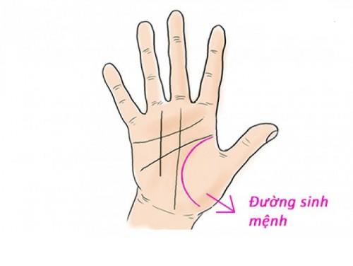Tướng bàn tay Có phải đường Sinh mệnh ngắn thì chết sớm hình ảnh